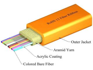 TLC 8 Fiber MM 62.5um Fiber Optic Ribbon Cable Riser Orange