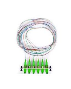  6 Fiber