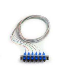  6 Fiber