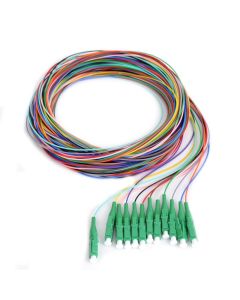  12 Fiber