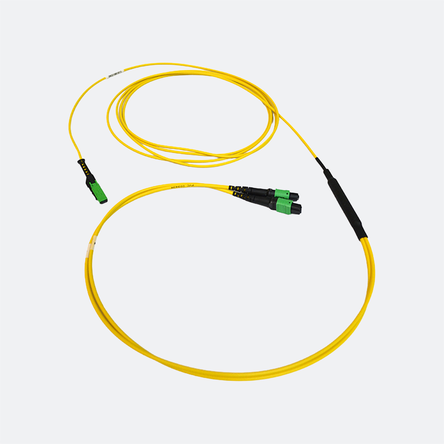 FIS MMC Harness, MMC/APC Female to 2 x 12F MTPAPC Female, 3 meters, SM, 24 Fiber, Type B, Plenum